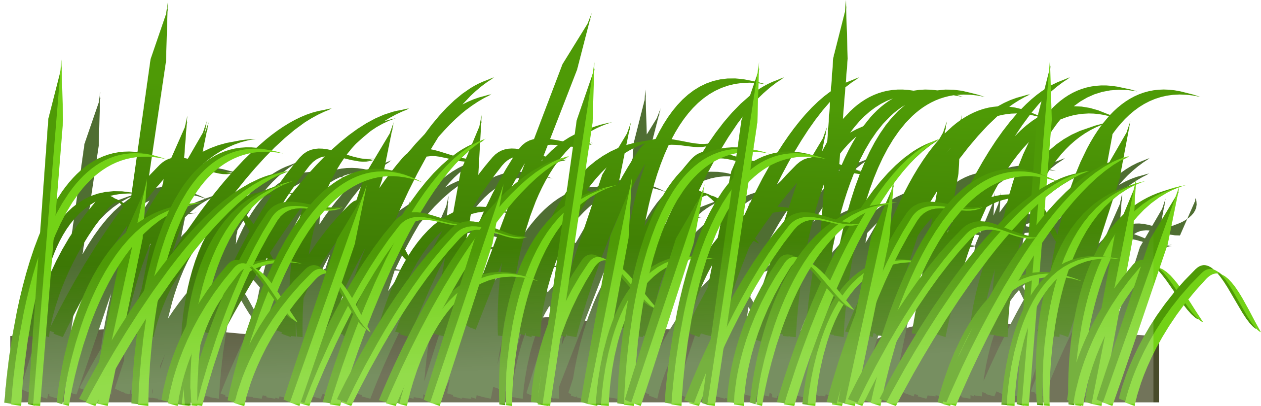 cartoon grass clipart - photo #9