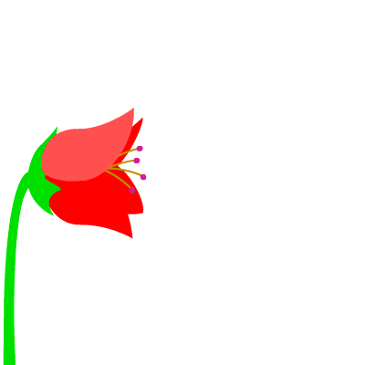 animation pictures of flowers | free wallpapers