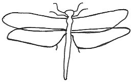 Dragonfly Outline - ClipArt Best