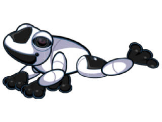 black,an white frog!! by art-luv123 | Create Art | Disney