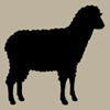 black_sheep_silhouette.jpg