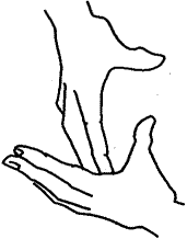 2 Hand Manual Alphabet: Z