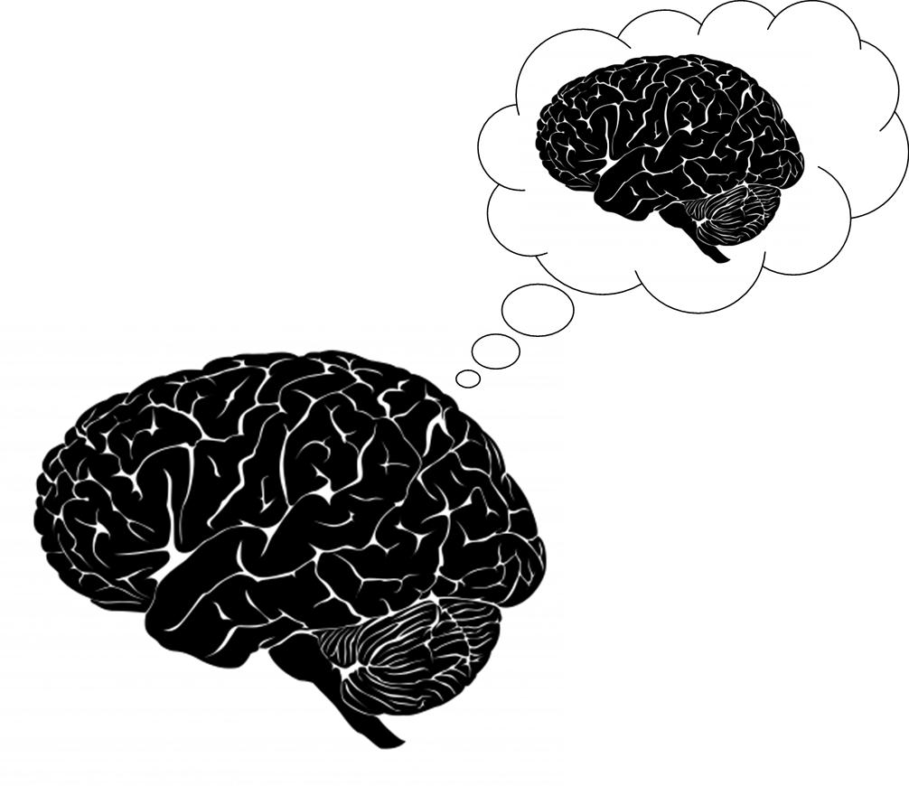 neurosphere | neuroscience in everything