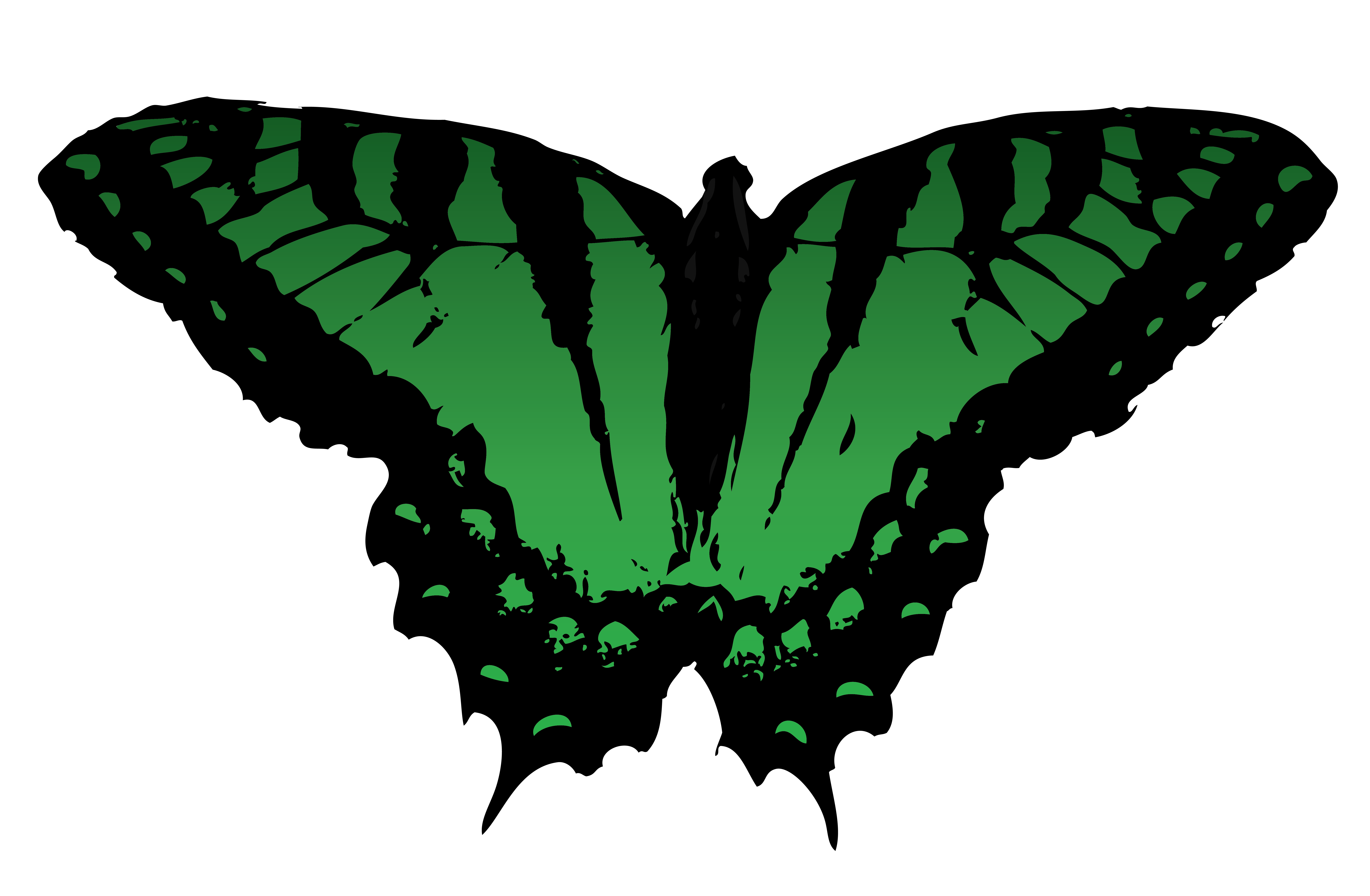 Butterfly Vector free for use