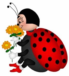 Ladybugs, Ladybugs - Home