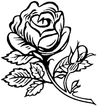 Rose Flower Coloring Pages | Larakroemer Net
