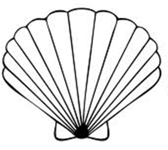 Seashell Clipart Black And White - Free Clipart Images