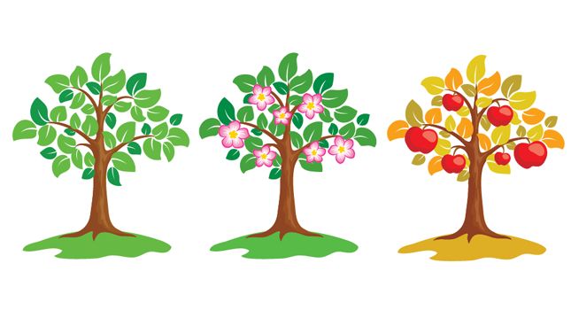 tree clipart vector free - photo #24