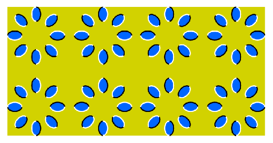 451 views Puzzles & Illusions