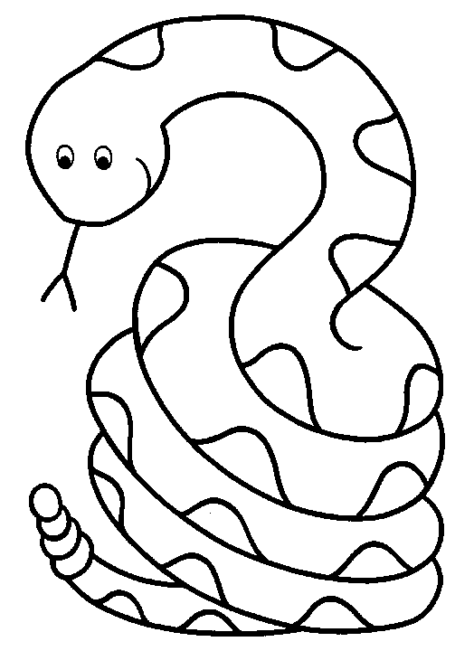 pet snake Colouring Pages
