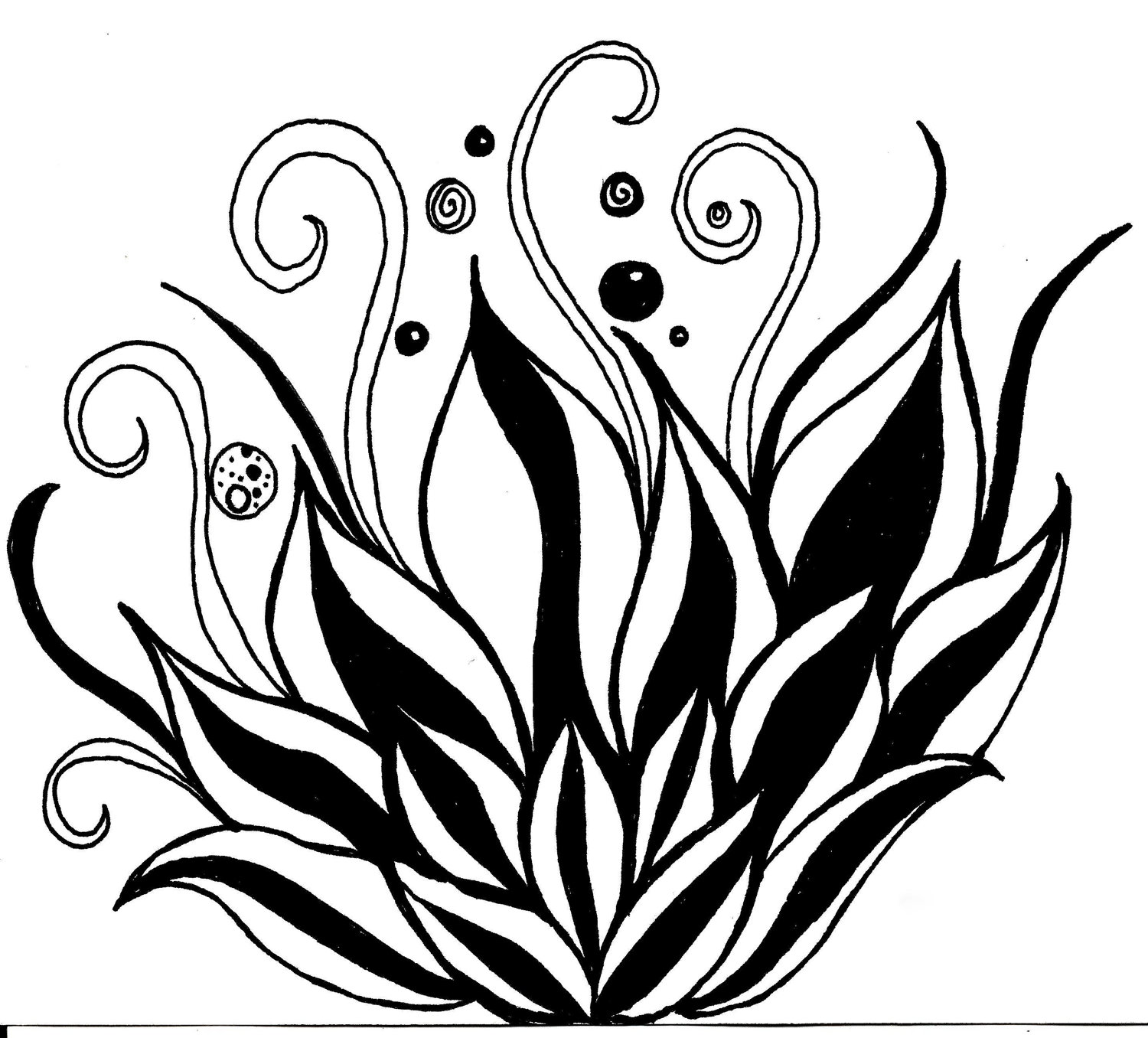 Lotus Flower Line Drawing Cliparts Co Flowers For Black And White ...