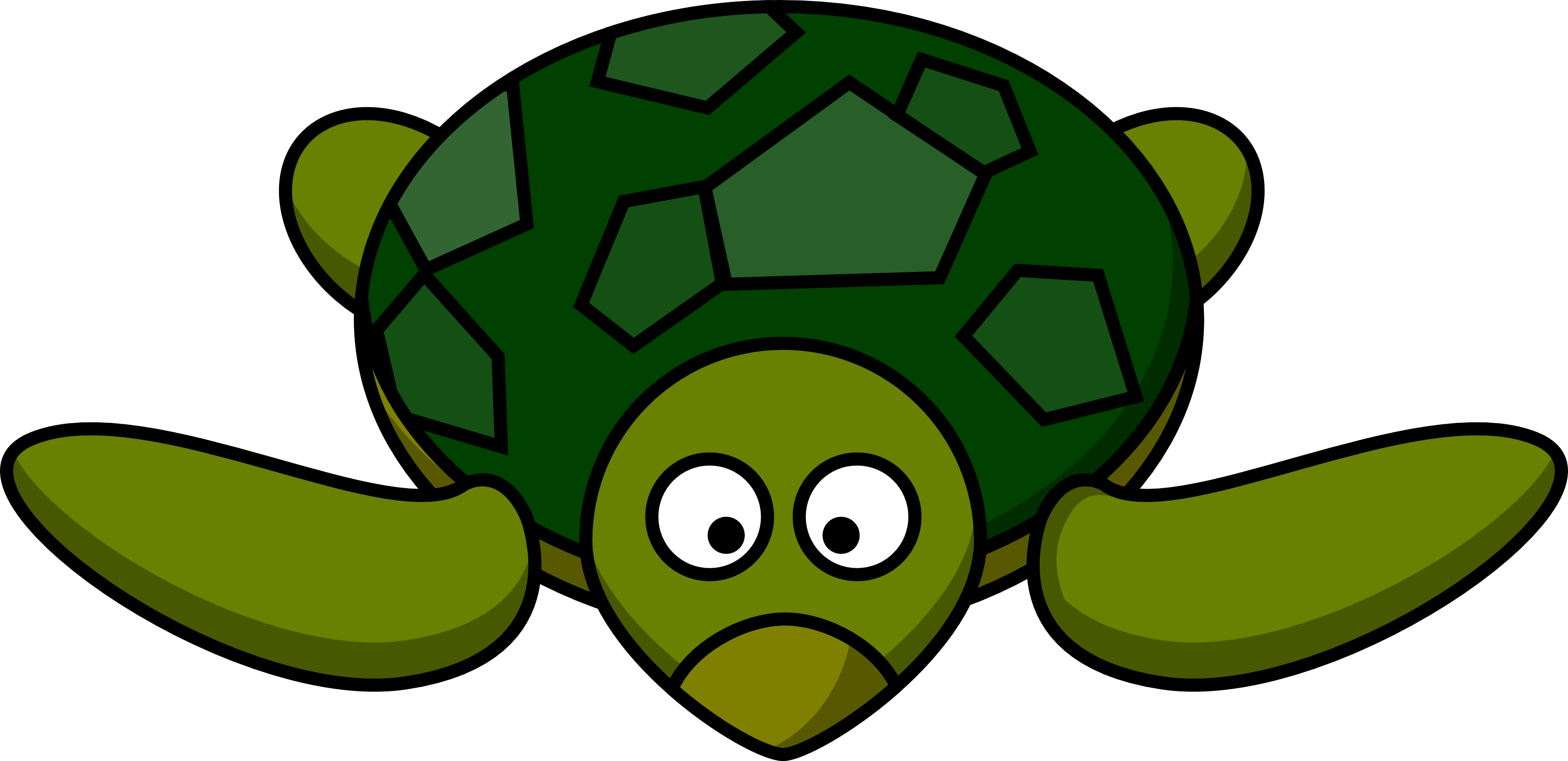 Turtle clipart cartoon