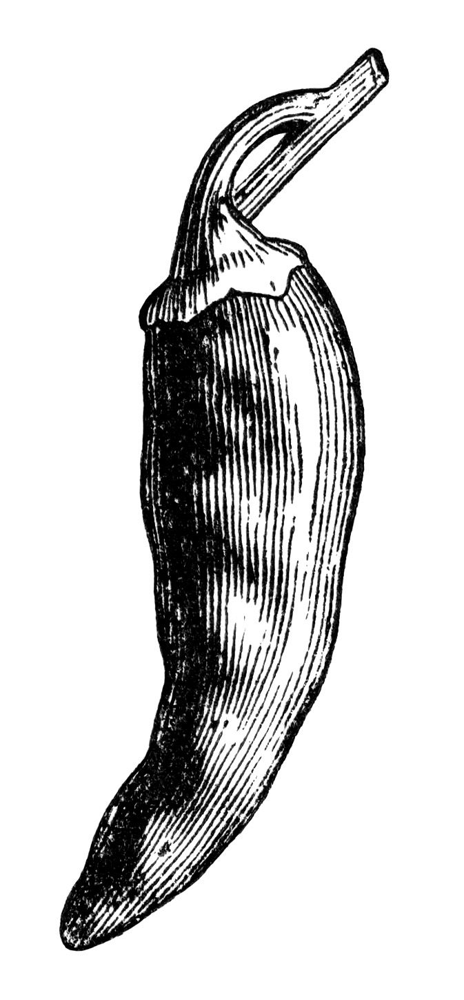 790 views black and white clip art, bell pepper clipart, chili pepper clipart, vintage food