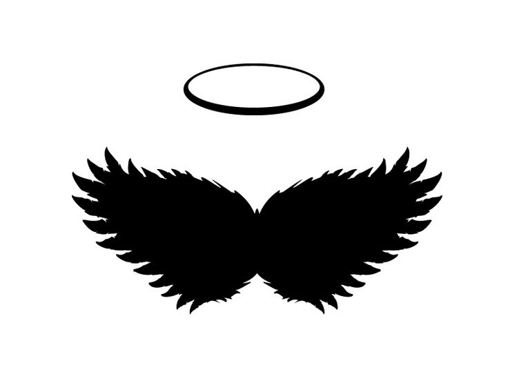 1000+ images about Angel Wings
