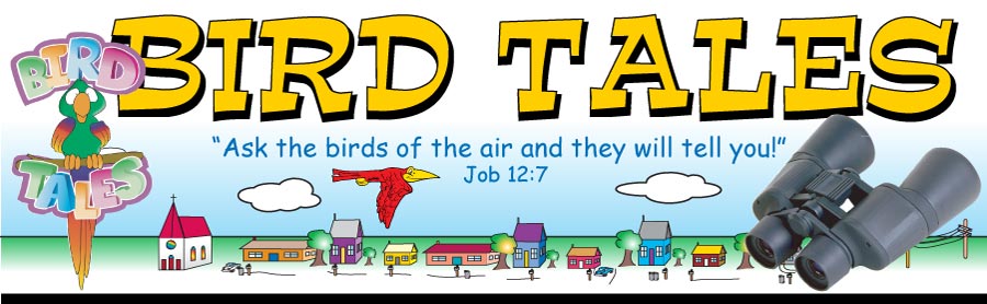 free clip art vacation bible school - photo #35