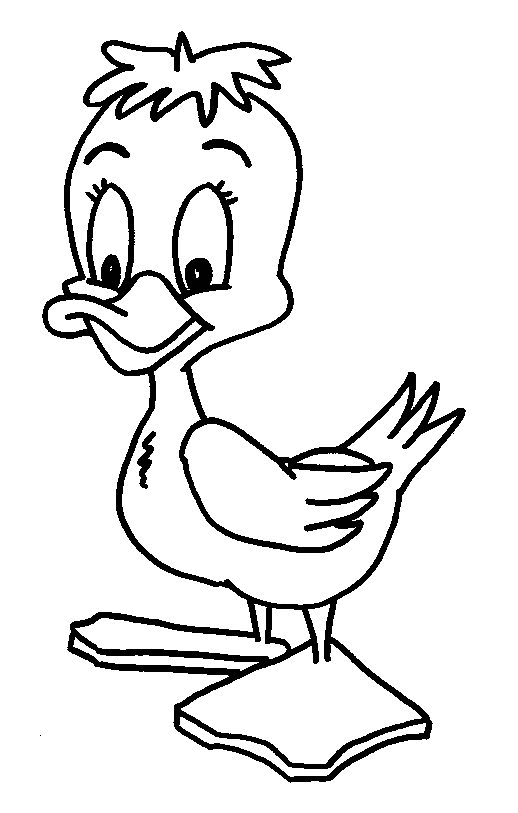 Kids-n-fun.com | 20 coloring pages of Ducks