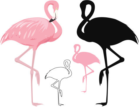 Flamingo Clip Art, Vector Images & Illustrations