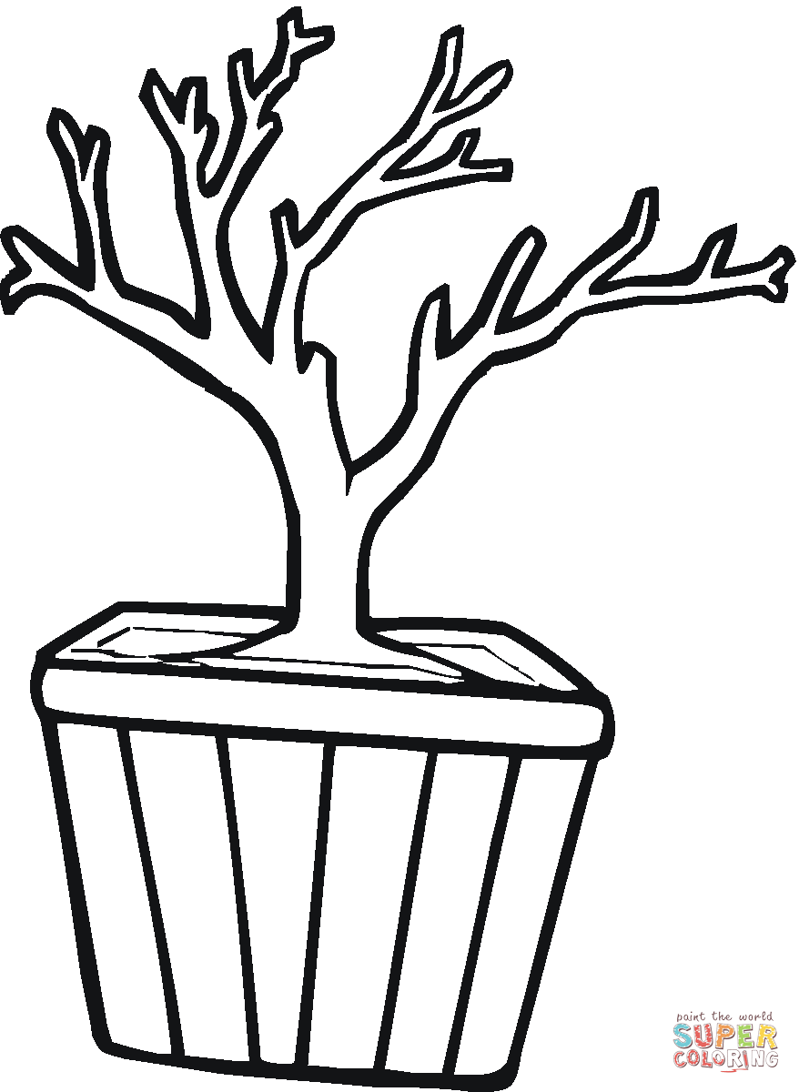 Bonsai in A Pot coloring page | Free Printable Coloring Pages