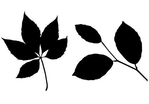 clipart leaf silhouette - photo #28