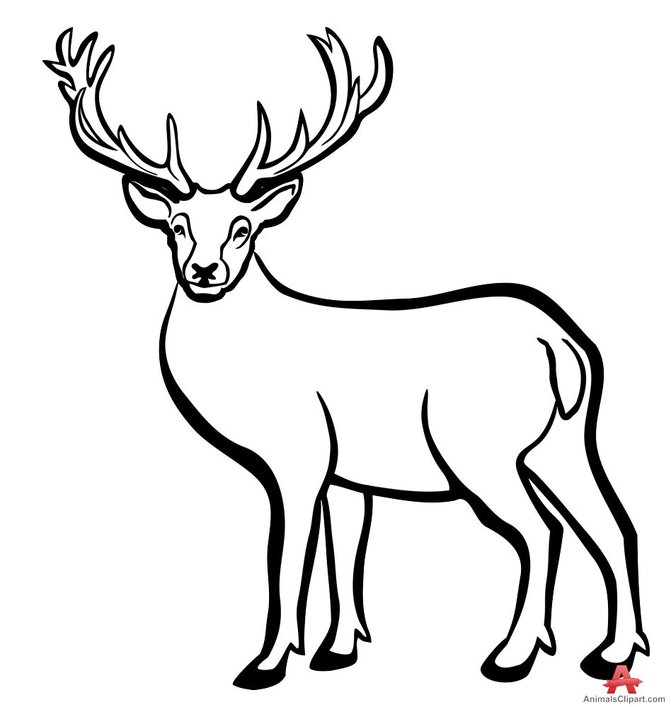 Deer Head Outline Printable Printable World Holiday