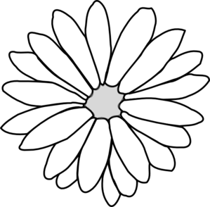 Aster flower clipart