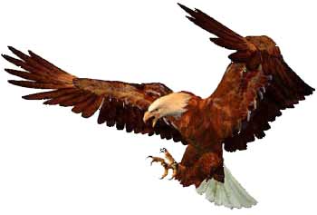 Landing eagle clipart