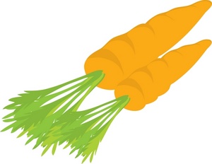 Carrots Clipart Image - Cartoon drawing of a pair of fresh, garden ...