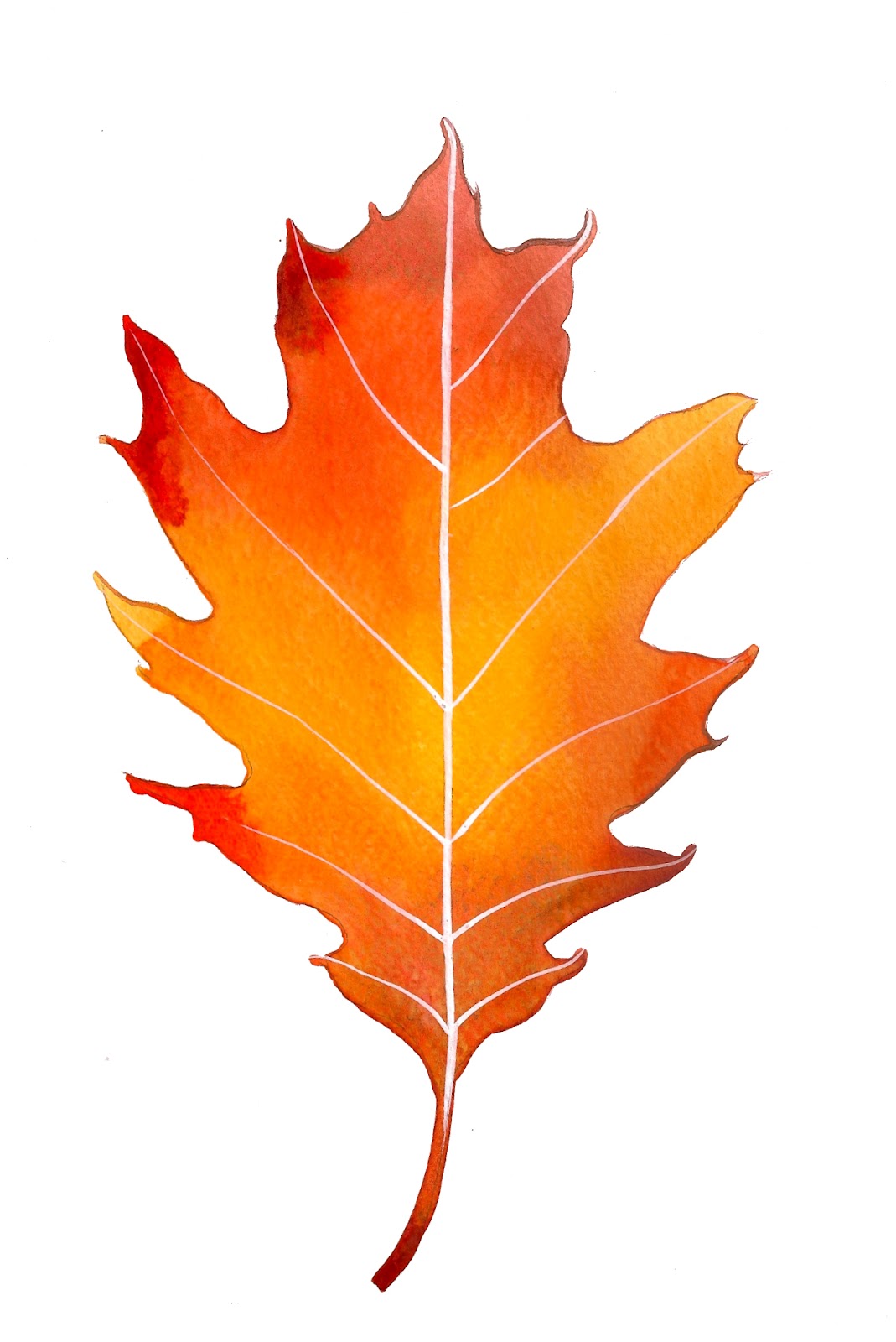 oak leaves clip art free - photo #26