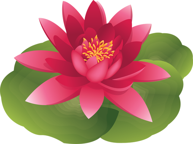 Lily Pad Flower Clipart