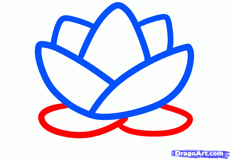 How to Draw a Lotus for Kids, Step by Step, Flowers For Kids, For ...