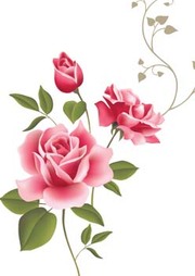 English Rose Clip Art, Vector English Rose - 423 Graphics - Clipart.me