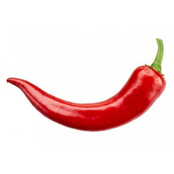 Red Chilli in Vellore - Lal Mirch Suppliers & Prices in Vellore