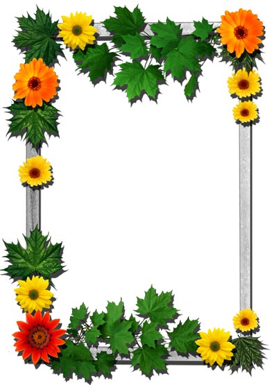 Png flower frames for photoshop