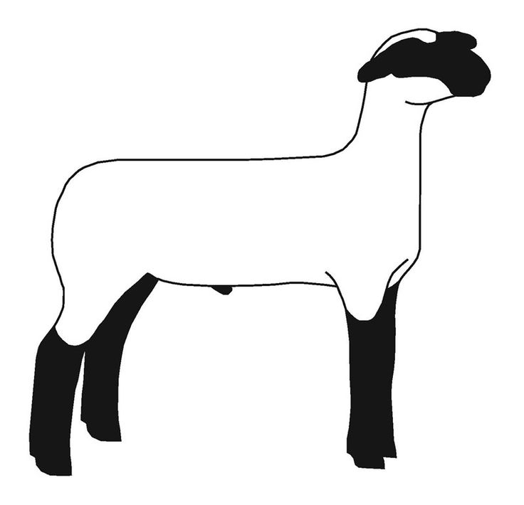 Lamb hampshire sheep clip art google search sheep - dbclipart.com