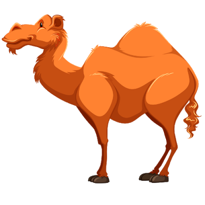 Camel Cartoon Pictures - Funny Camel Pictures - ClipArt Best - ClipArt Best