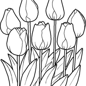 A Simple Tulip Drawing Coloring Page | Kids Play Color