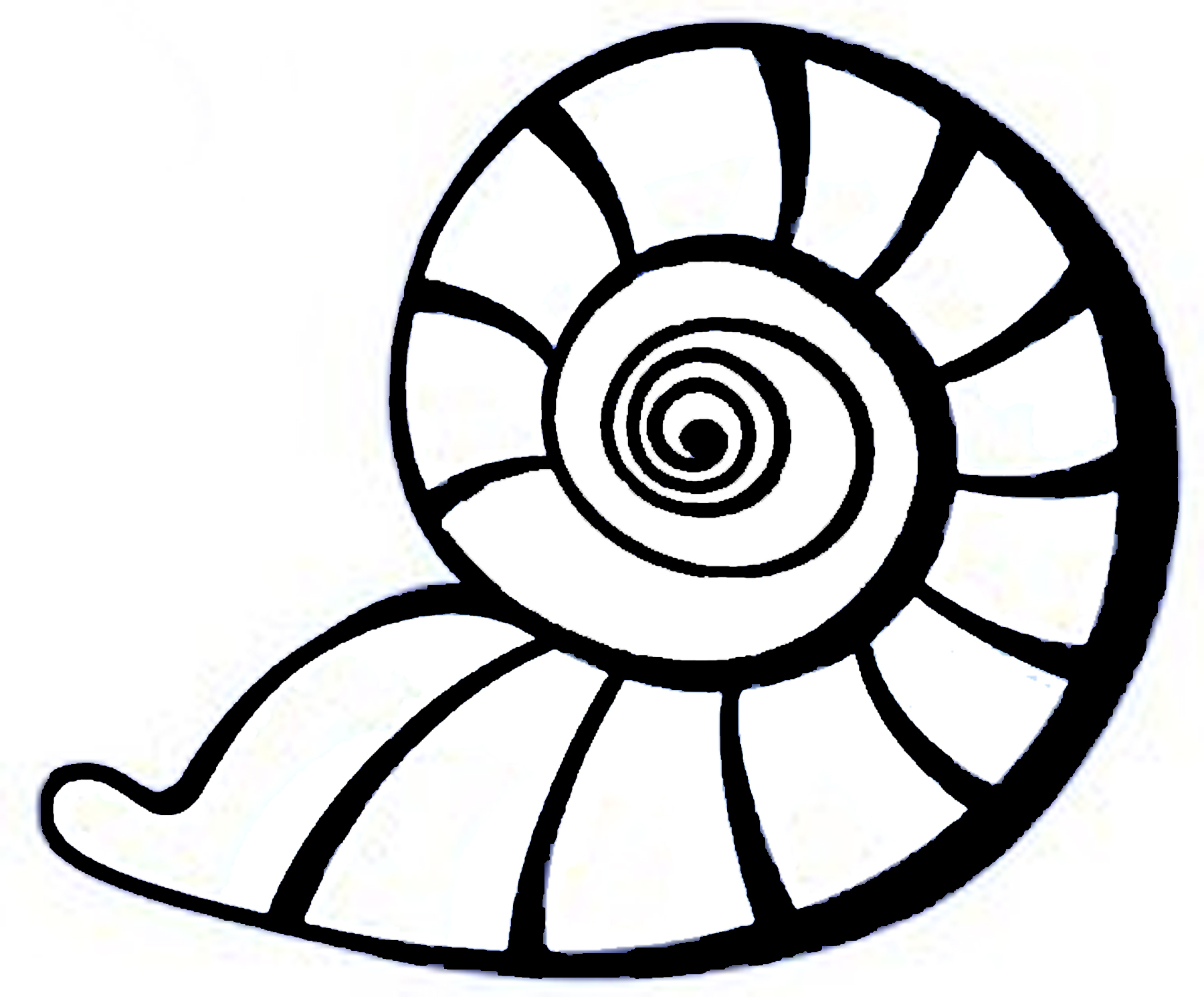 Best Photos of Easy To Draw Sea Shells - Cartoon Sea Shell ... - ClipArt  Best - ClipArt Best
