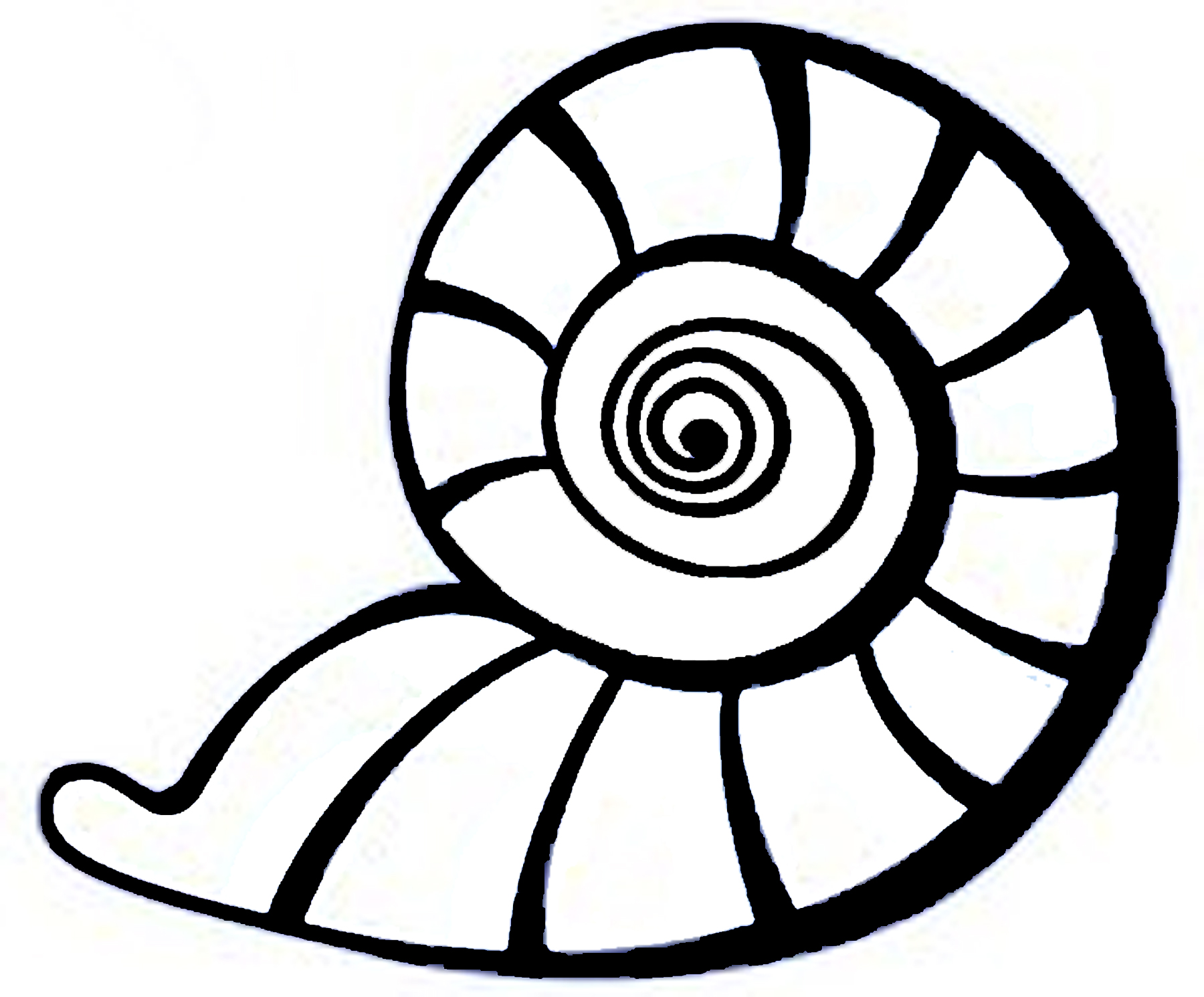 Seashell Drawing - ClipArt Best