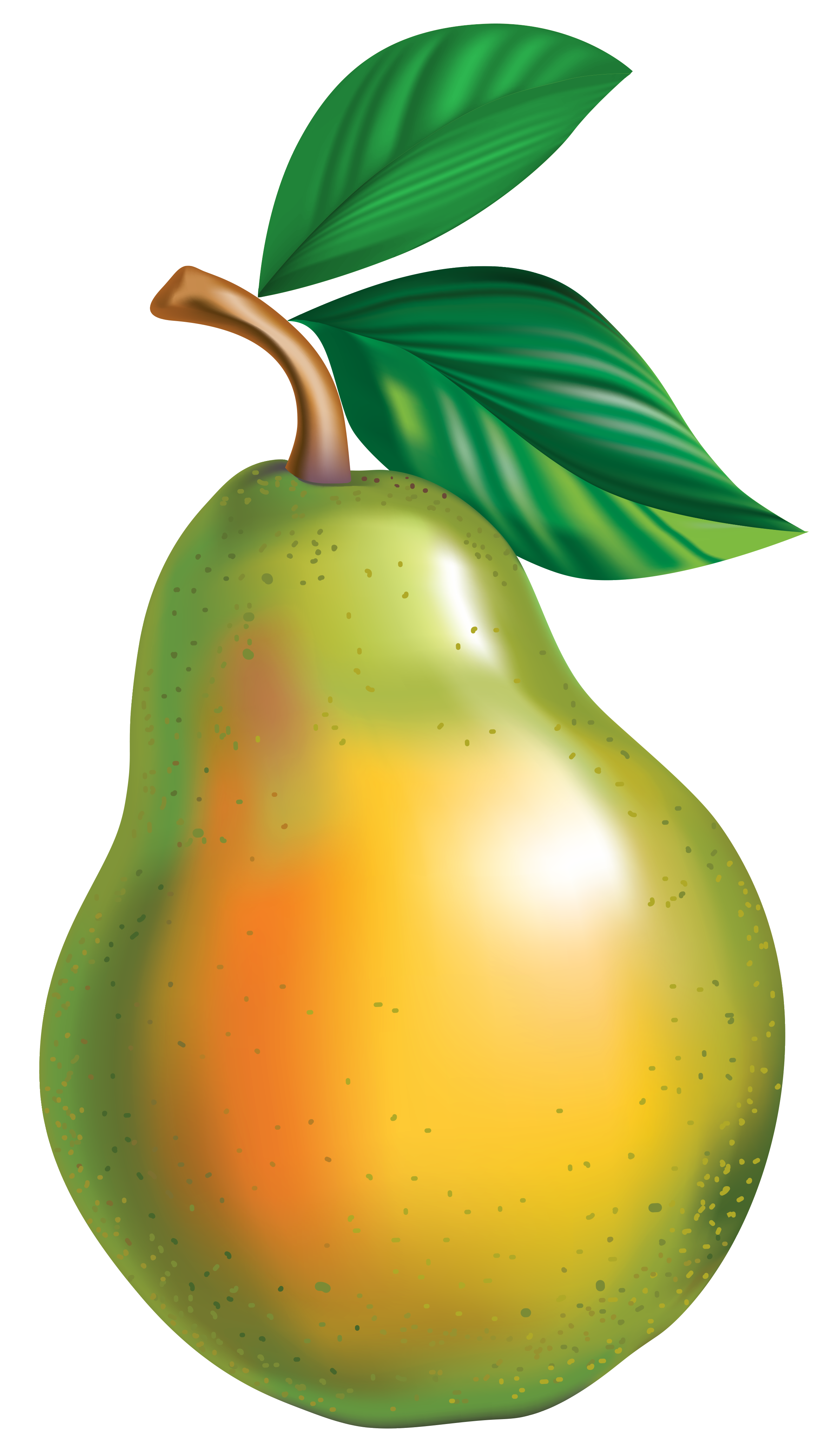 clipart pear tree - photo #30