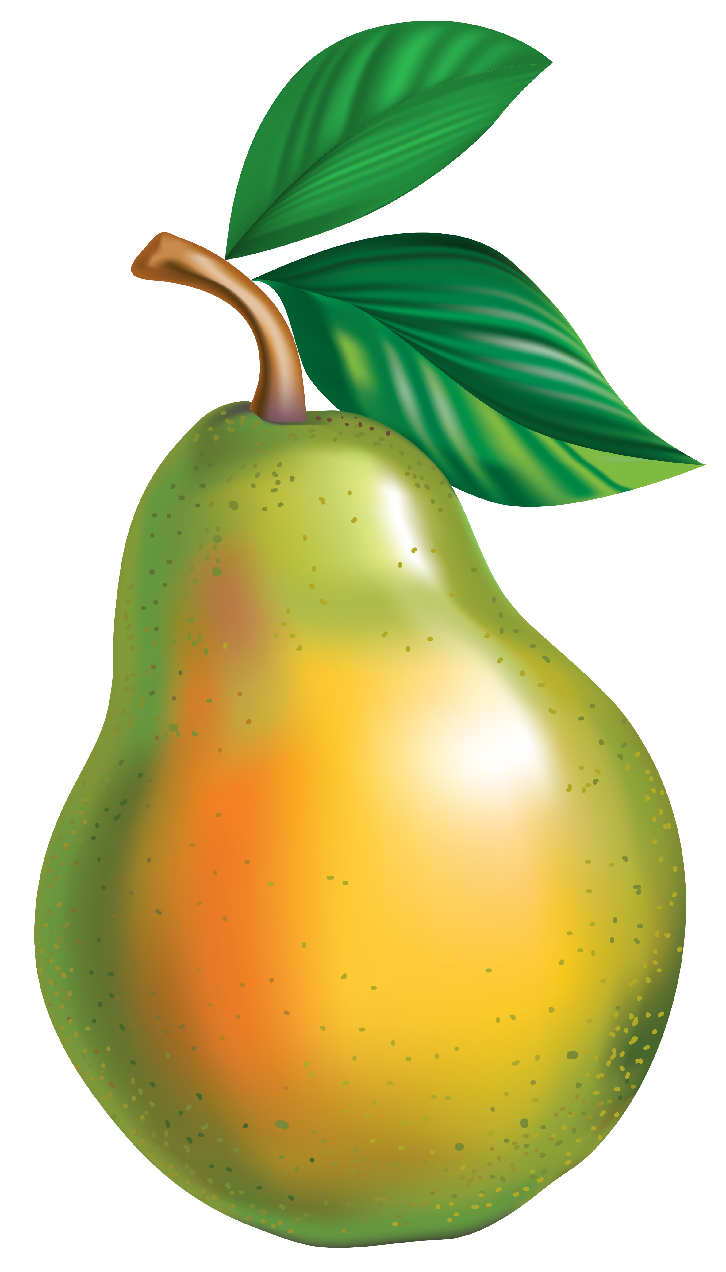 Pear Clipart - Tumundografico