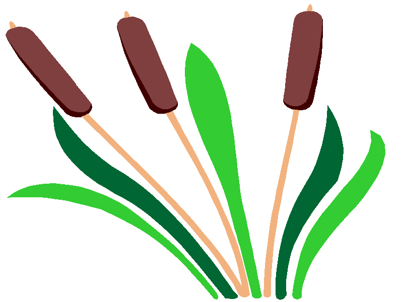 Image of Cattails Clipart #6037, Cattails Silhouette Clipart Free ...