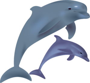 373 views Dolphin jumping clipart