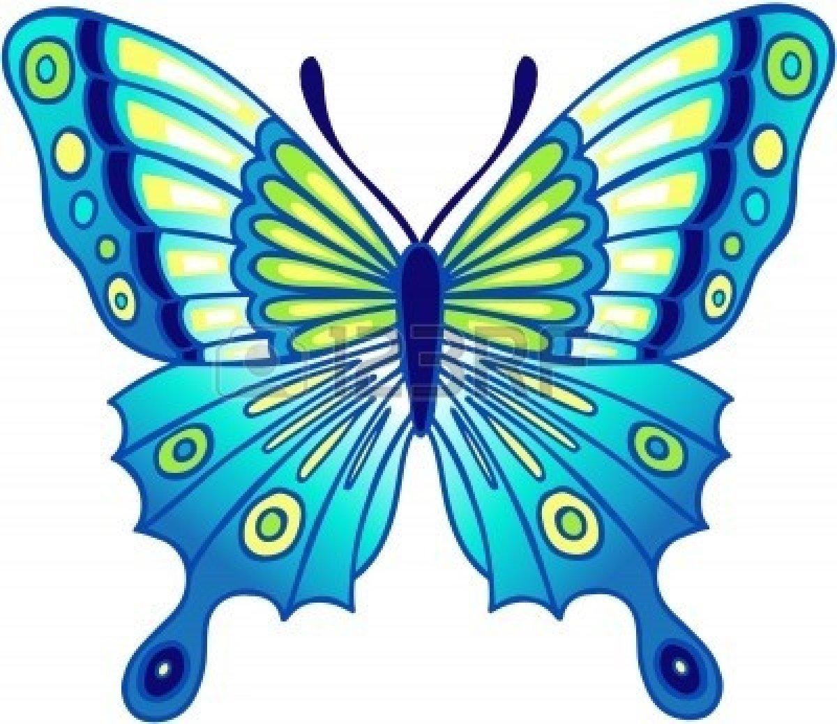 575 views Colorful butterfly blue clipart
