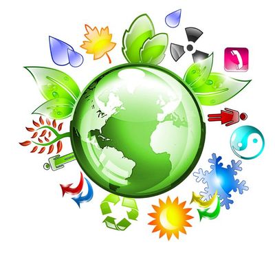 Count Your Carbon Footprint | LiveOlive.com