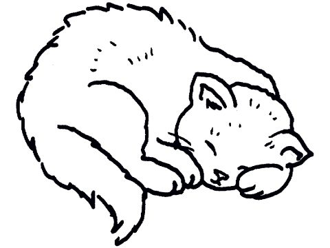 518 views 1000+ images about cat art | Lovely things, Cat ...