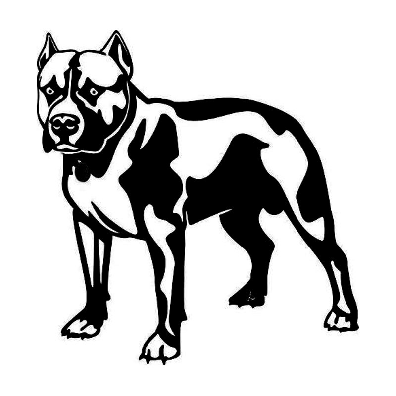 Compare Prices on Cartoon Pitbulls- Online Shopping/Buy Low Price ...
