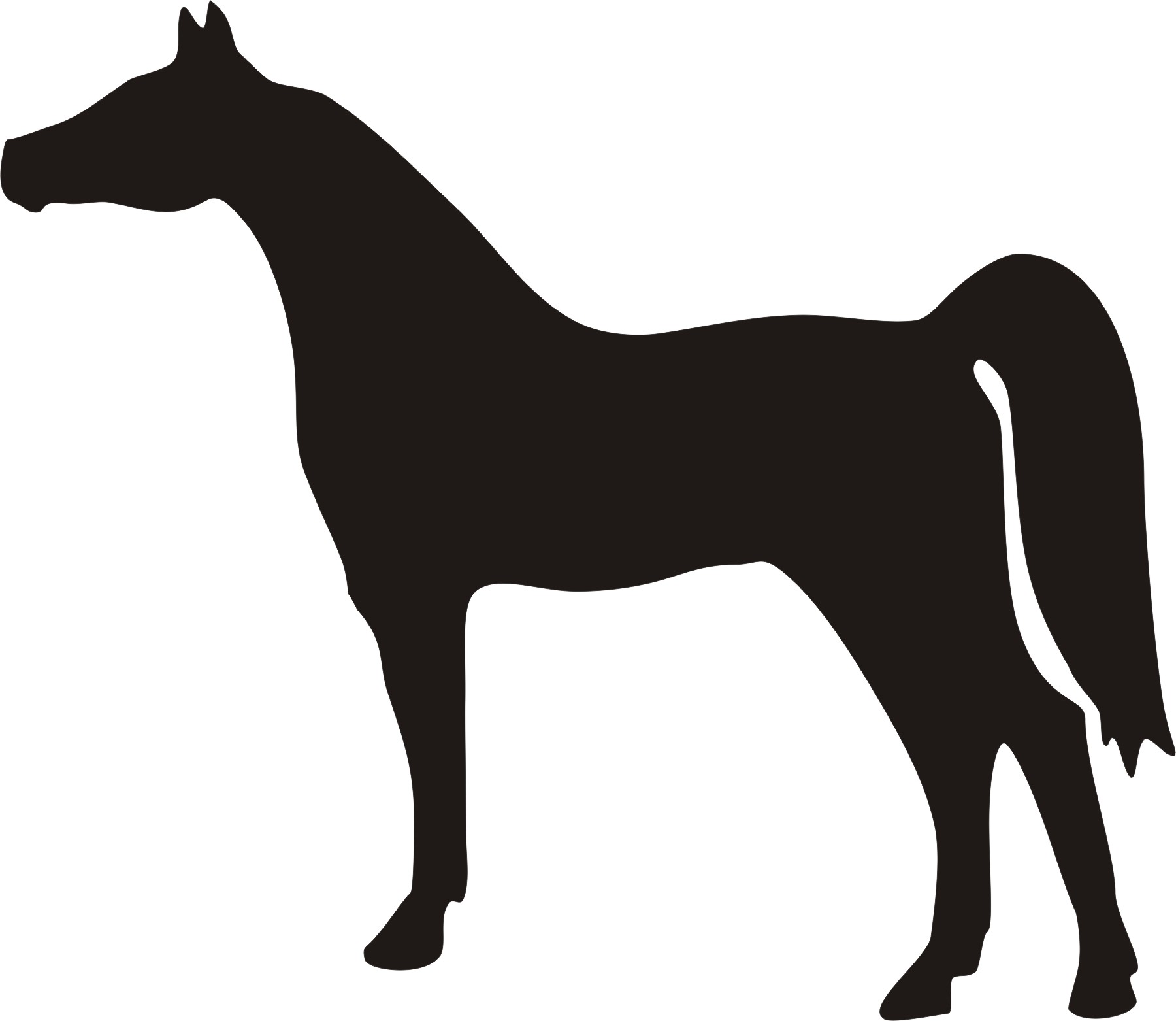 Pleasure horse silhouette clipart