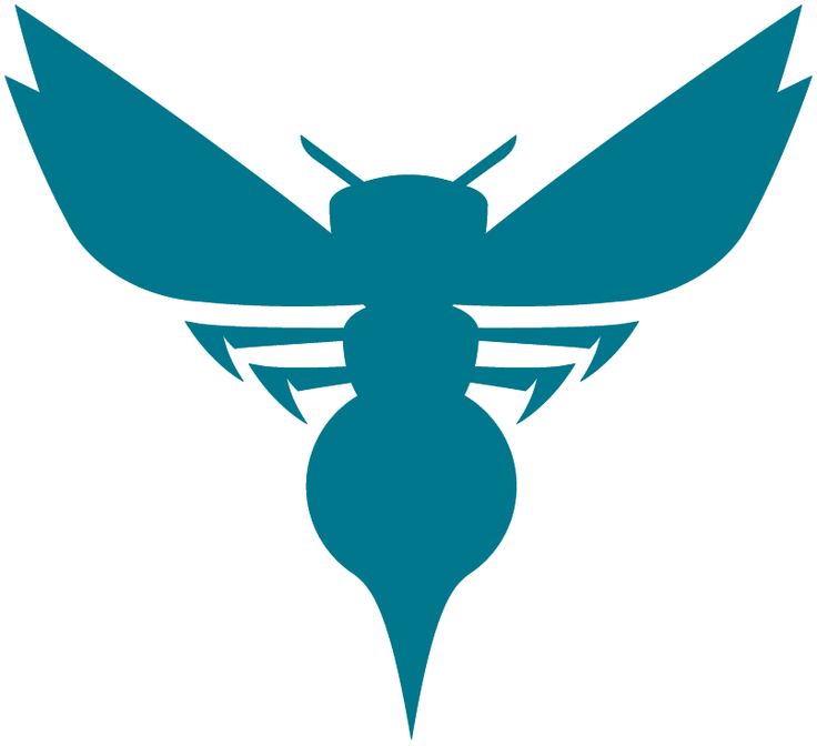 Charlotte Hornets Logo | Charlotte ...
