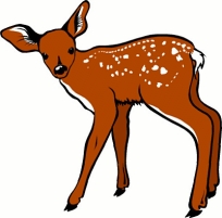 The Lesson of the Fawn | This Is What Happened