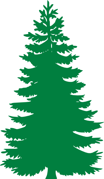 Cartoon Pine Trees
